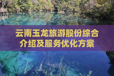 云南玉龍旅游股份 國內(nèi)旅游業(yè)務(wù)綜合解析與服務(wù)優(yōu)化藍圖